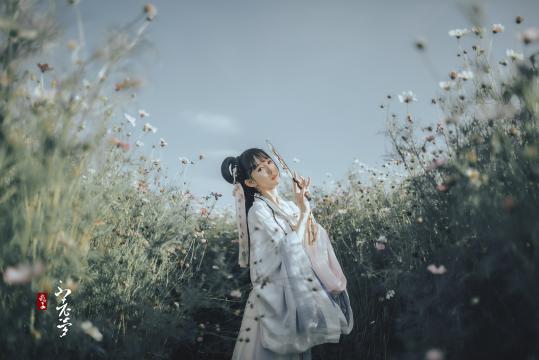天鹅公主(谁讲一下天鹅公主奥罗拉的故事？)