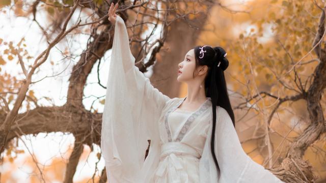 金的组词(金有什么组词？)