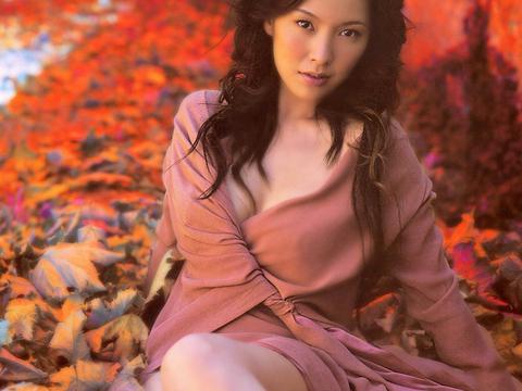 万里长城的简介(长城的简介长城介绍)