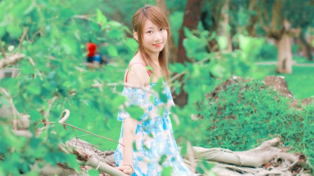 梅花诗词(关于梅花的诗句)