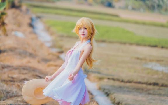 李白写过黄鹤楼吗(李白的关于《登黄鹤楼》的诗？)