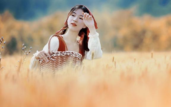 李白写过黄鹤楼吗(李白的关于《登黄鹤楼》的诗？)