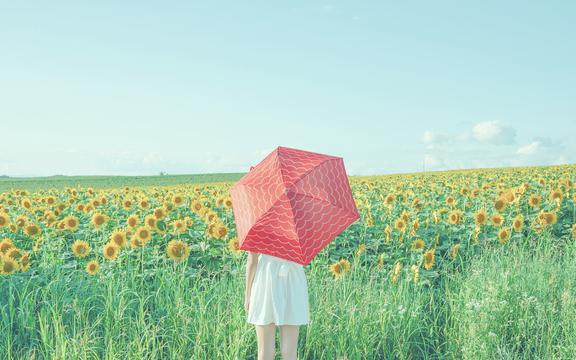 金的组词(金有什么组词？)