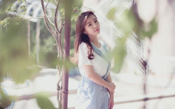 李白写过黄鹤楼吗(李白的关于《登黄鹤楼》的诗？)