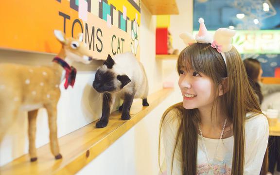 万里长城的简介(长城的简介长城介绍)