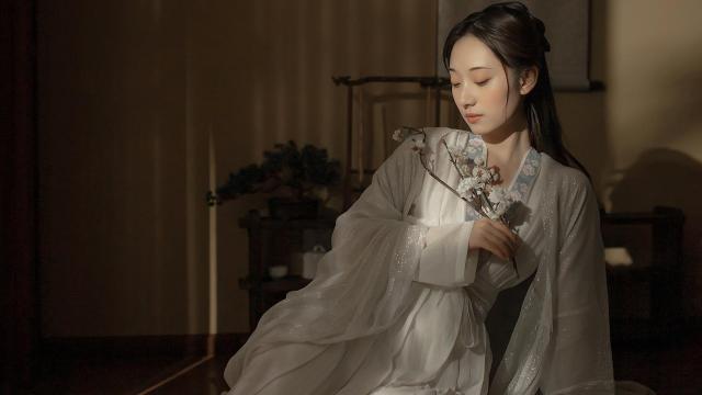 李白写过黄鹤楼吗(李白的关于《登黄鹤楼》的诗？)