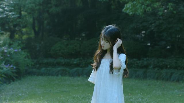 李白写过黄鹤楼吗(李白的关于《登黄鹤楼》的诗？)