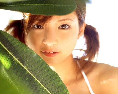 过犹不及的意思解释(过犹不及是什么意思)