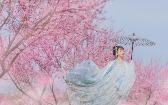 李白写过黄鹤楼吗(李白的关于《登黄鹤楼》的诗？)